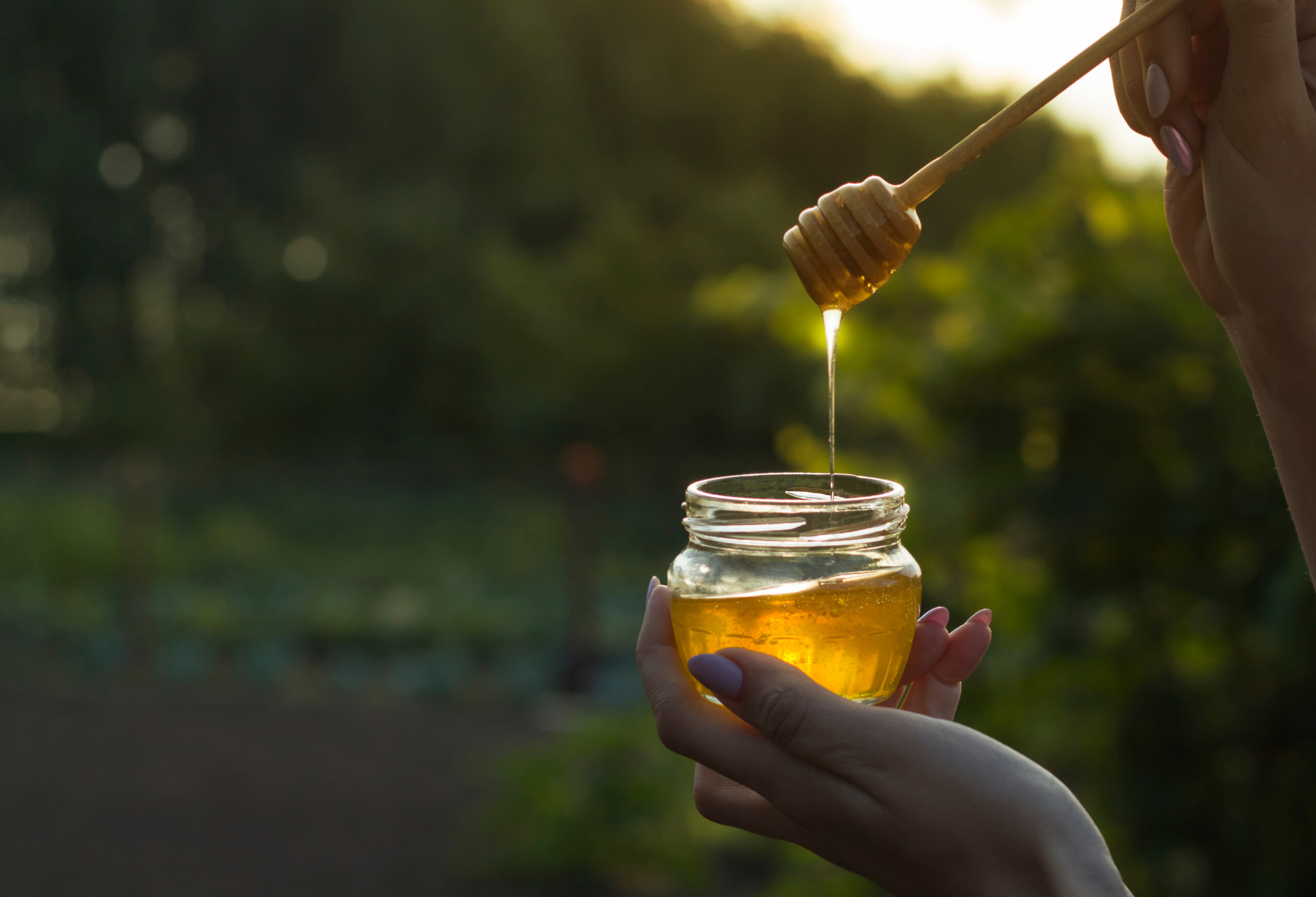 Honey,Flows,From,A,Special,Honey,Spoon,Into,A,Jar
